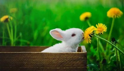 开云体育链接-高科技赛车空气动力学：减少阻力的秘密，f1赛车空气动力学